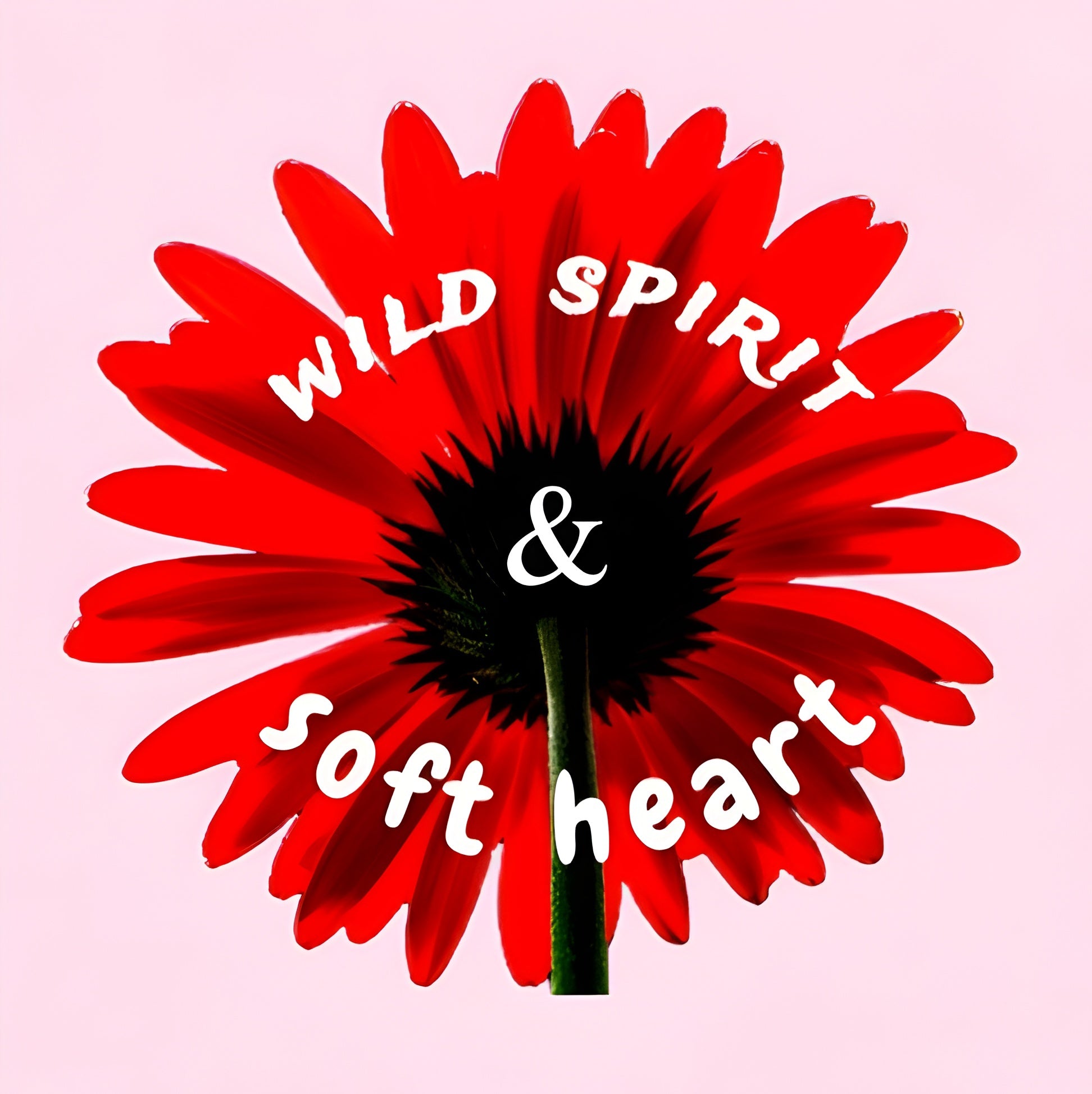 WILD SPIRIT & SOFT HEART oversized soft pink tshirt
