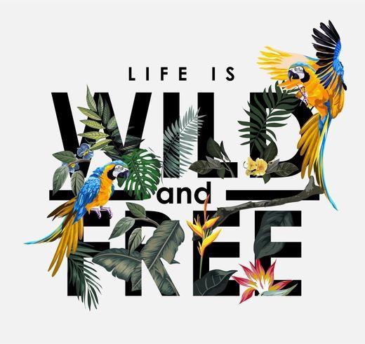 Wild n Free oversized t-shirt
